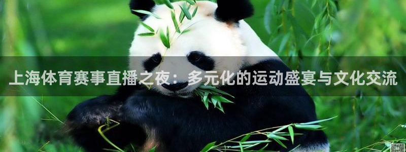 熊猫直播间：上海体育赛事直播之夜：多元化的运动盛宴与文化交流