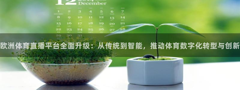 熊猫体育直播：欧洲体育直播平台全面升级：从传统到智能，推动体育数字化转型与创新