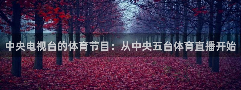 熊猫体育直播平台：中央电视台的体育节目：从中央五台体育直播开始