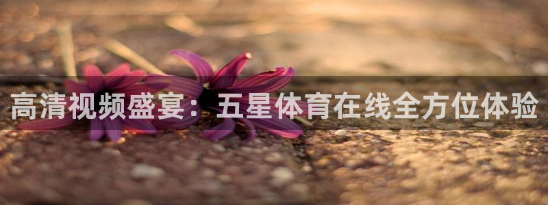 熊猫怎么直播：高清视频盛宴：五星体育在线全方位体验