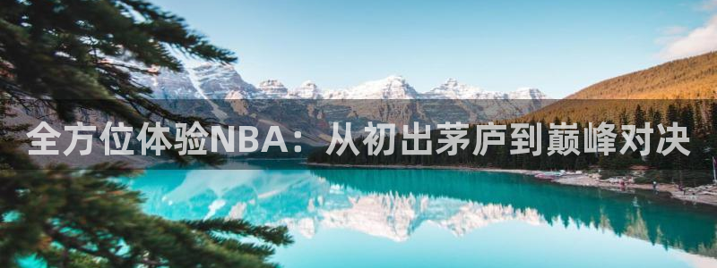 熊猫高清直播：全方位体验NBA：从初出茅庐到巅峰对决