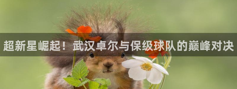新闻图片