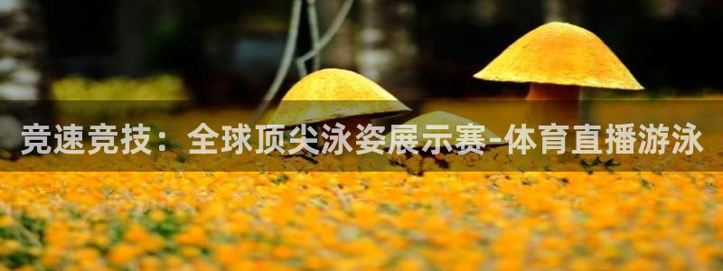 熊猫直播下载官网：竞速竞技：全球顶尖泳姿展示赛-体育直播游泳